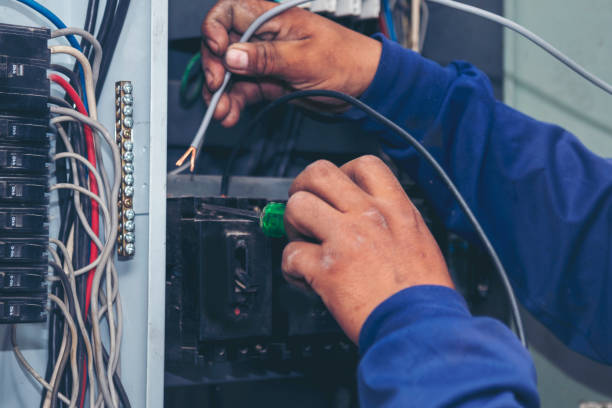 Best Ceiling Fan Installation Electrician  in Miami Shores, FL