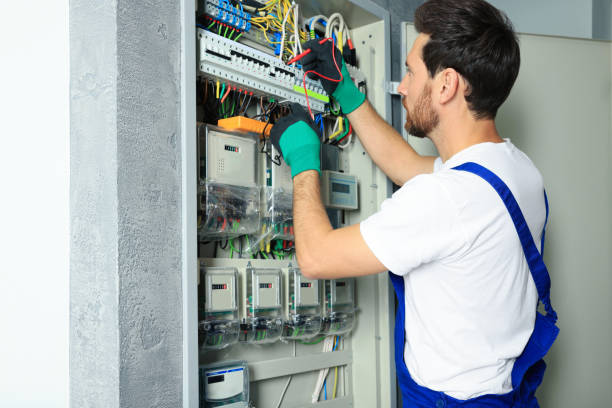 Best Electric Panel Repair  in Miami Shores, FL